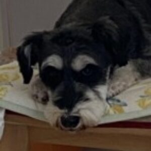 Profile photo of shimohara.chieko